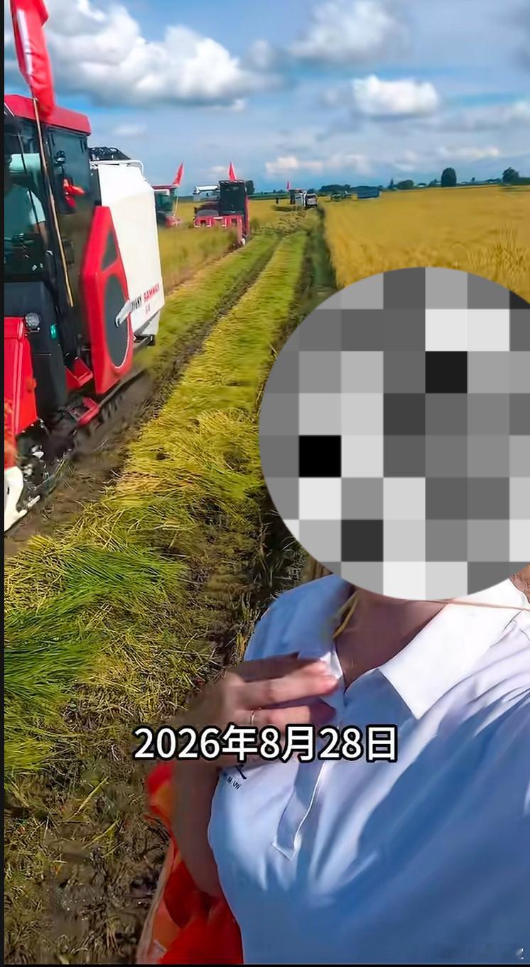平时说“稻花香150天生长期”，一边又110天就抢着收割，拧巴得很～！去年是九月
