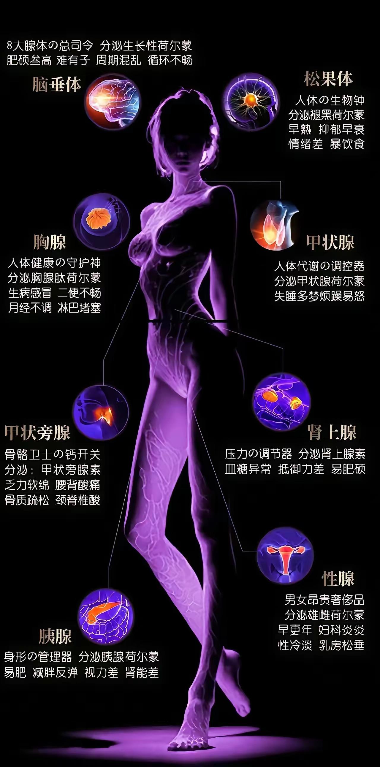 女人出轨的本质不是爱，也不是性而是什么？你们猜猜？