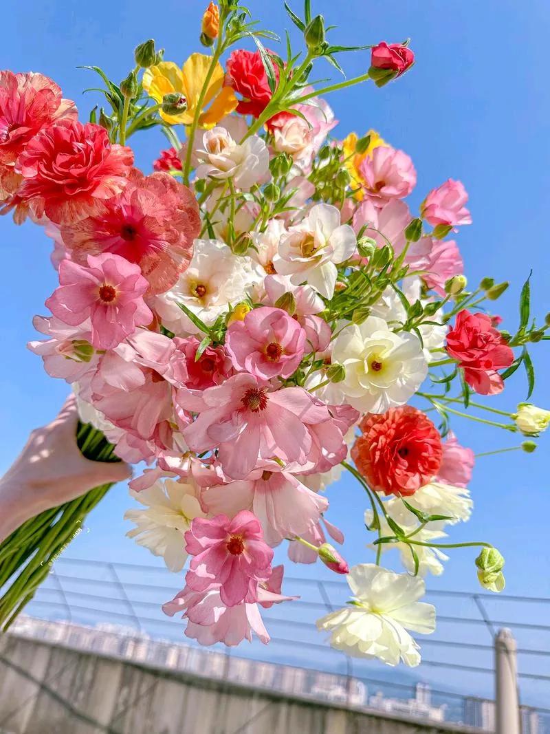 家里有两兄弟，经济条件一般的家庭是不是就不配娶媳妇了？前两天十来一（寒衣节）回