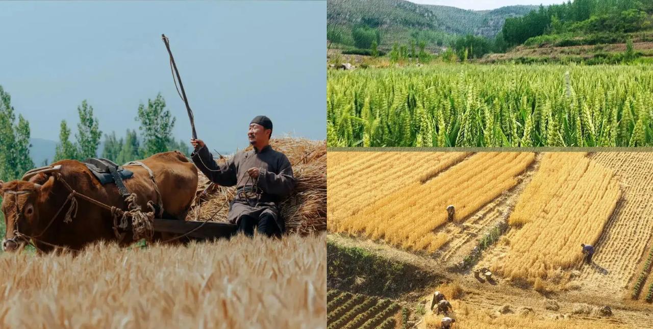 拍《生万物》时，林永健兴高采烈地提前去剧组，可是当他去剧组一看，顿时傻眼了。导