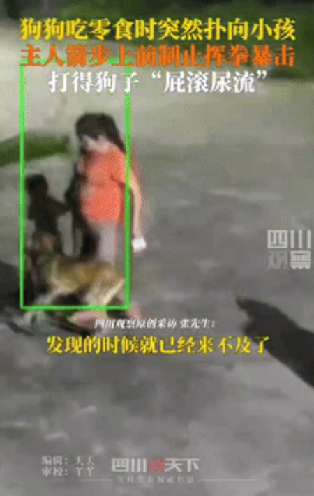 “真解气！”湖南湘潭，男子喂狗时，狗子突然扑向旁边小孩，小孩妈妈急忙拉着孩子躲避