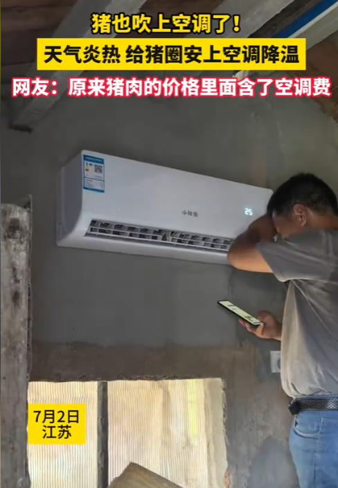 “猪都吹上空调了！”江苏，一家养猪场，给猪圈装空调了！吹得二师兄舒舒服服呼呼大睡