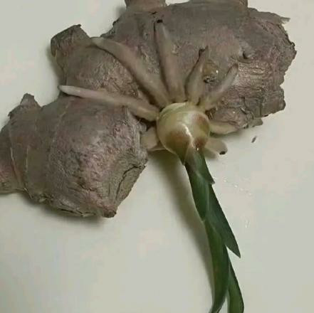 女朋友给我寄了这个，有什么寓意吗?