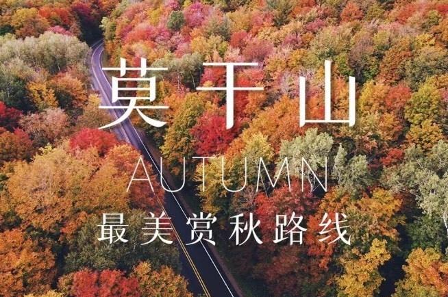 上海出发，12.13日徒步五彩斑斓莫干山📍杭州谁懂啊！🍂莫干山的晚秋