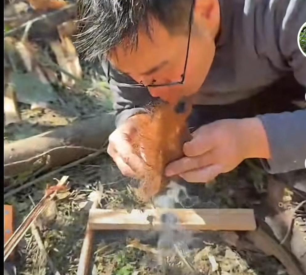起猛了，荒野道友生火成功了无火生存41天的荒野道友，决赛第三天终于把火生起来了