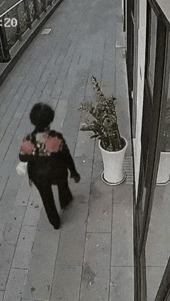看了这个视频才知道，怪不得有些人家门口摆的花盆会莫名其妙的砸烂掉！这个老大妈