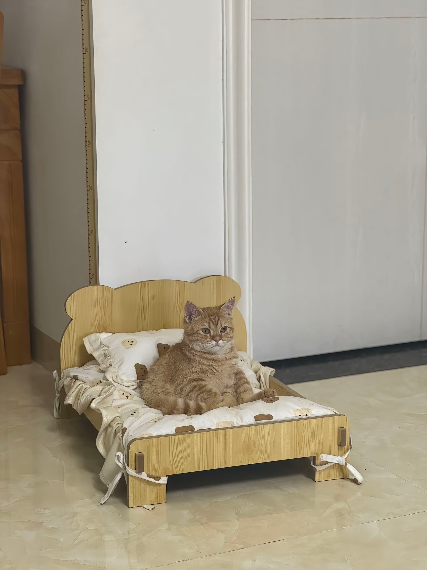 谁家小猫睡个觉还能把床睡塌了啊[捂脸哭]​​​