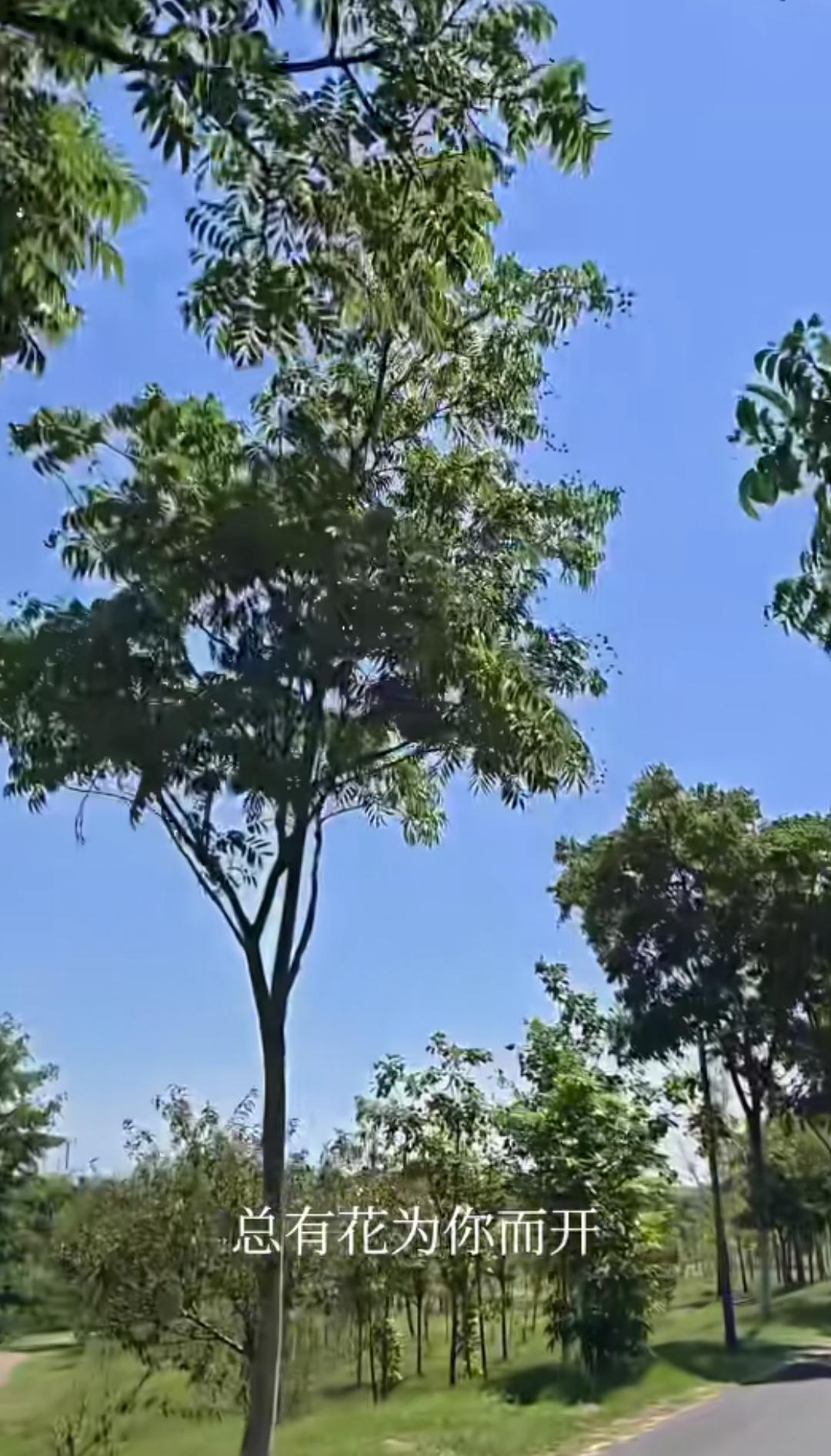 人生忠告：一、人身体不好，要多睡觉。二、人心情不好，要多外出。三、人口才不好，要