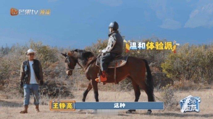 王铮亮王铮亮马生第一次听到这种需求别人骑马是赶路，王铮亮骑马是度假大片现场！全程