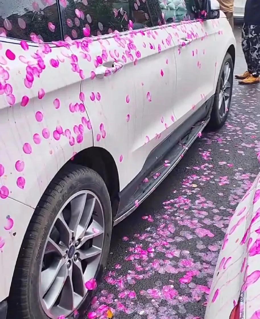 暴雨后紫花车如梦！车主懵了：这咋整啊[惊恐]