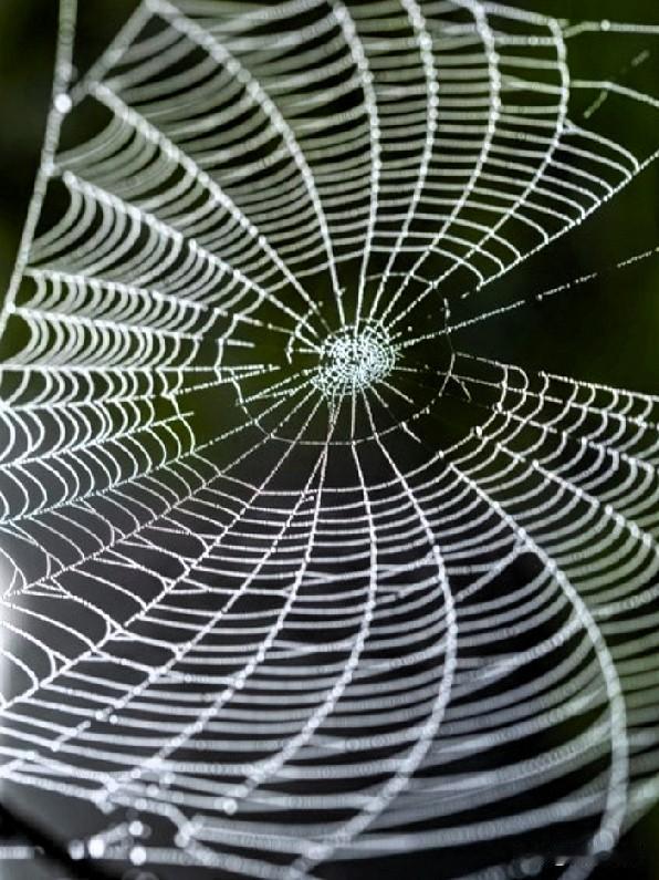 想要越来越顺，你就要先做好一件事：肃清你的圈子，远离一直混得差的人！