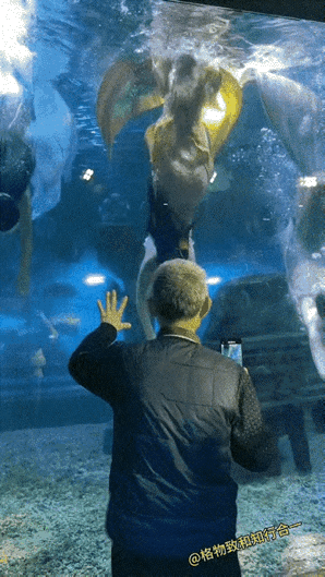 男人不挂墙上都不老实！一位老爷子在海洋馆观看美人鱼表演，看到美人鱼游过来，大爷