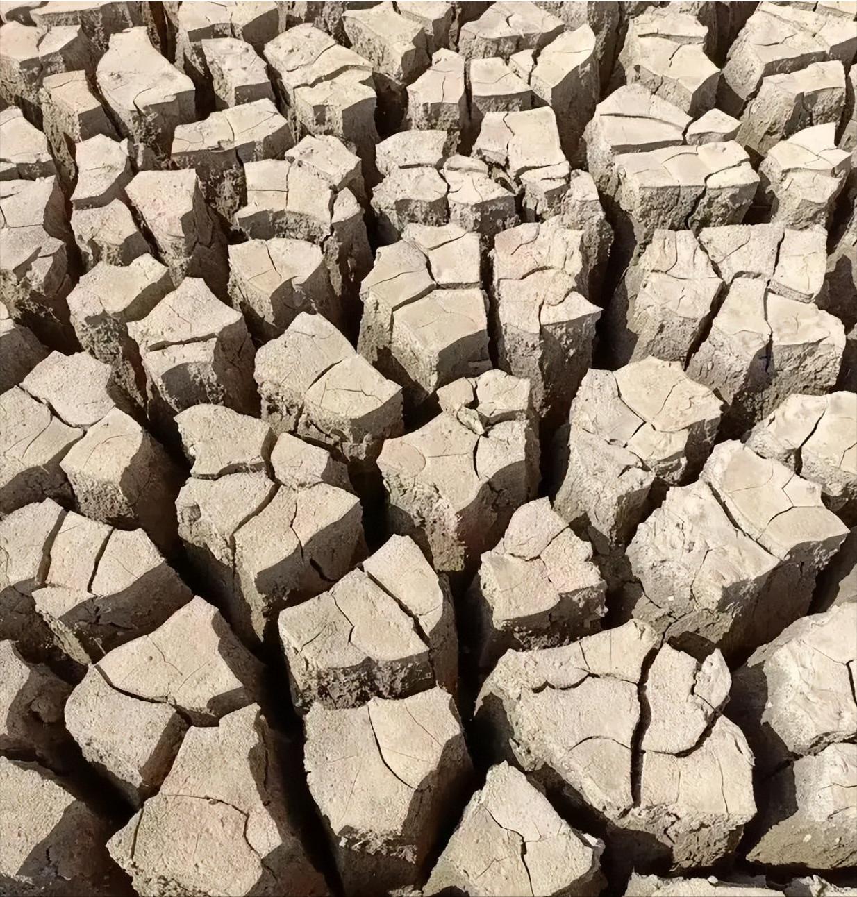 科学家发出严重警告：地球正朝着不再适宜居住的方向发展2026年1月中旬，一