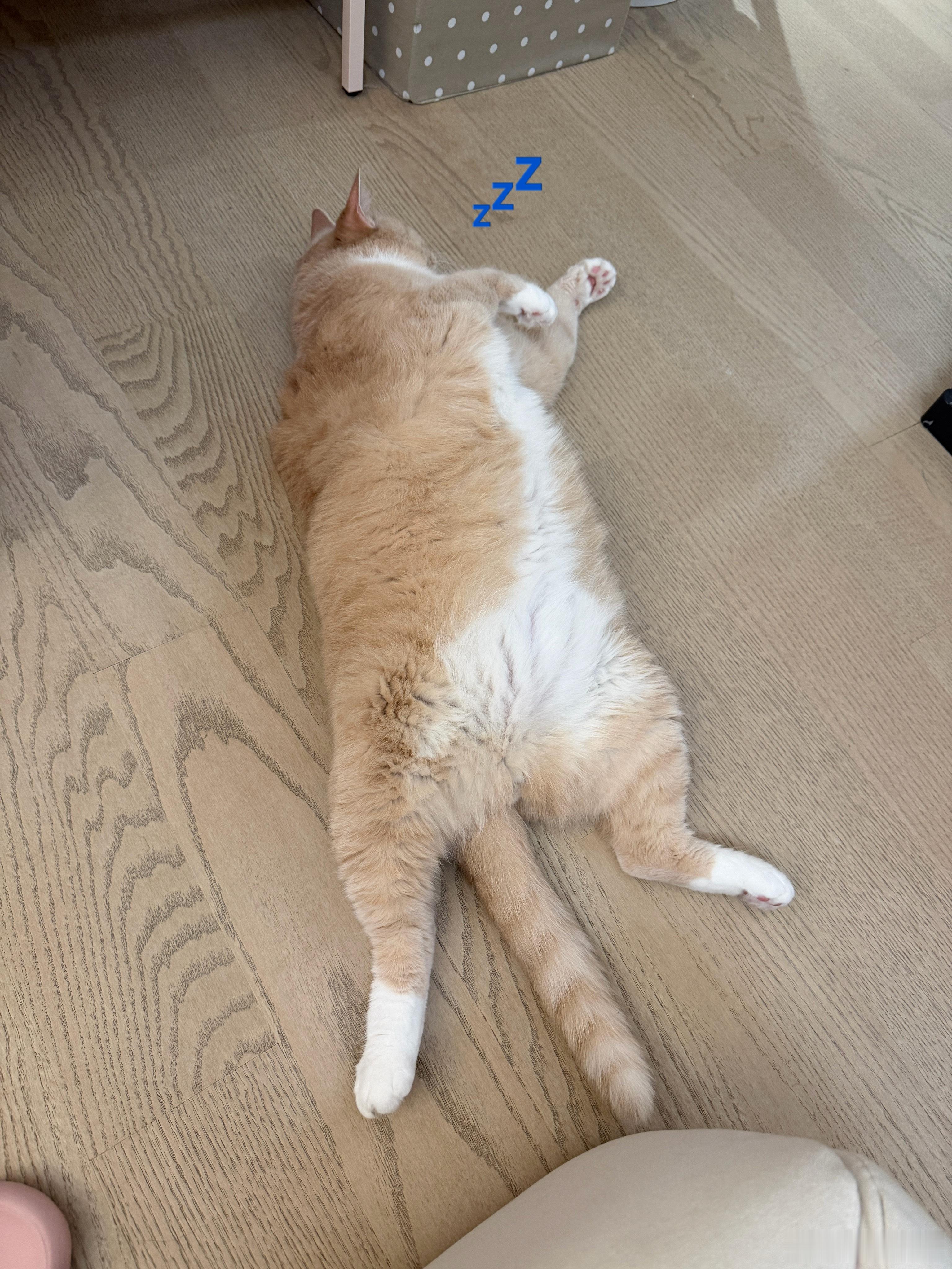 严肃对待胖娃儿的减肥大事