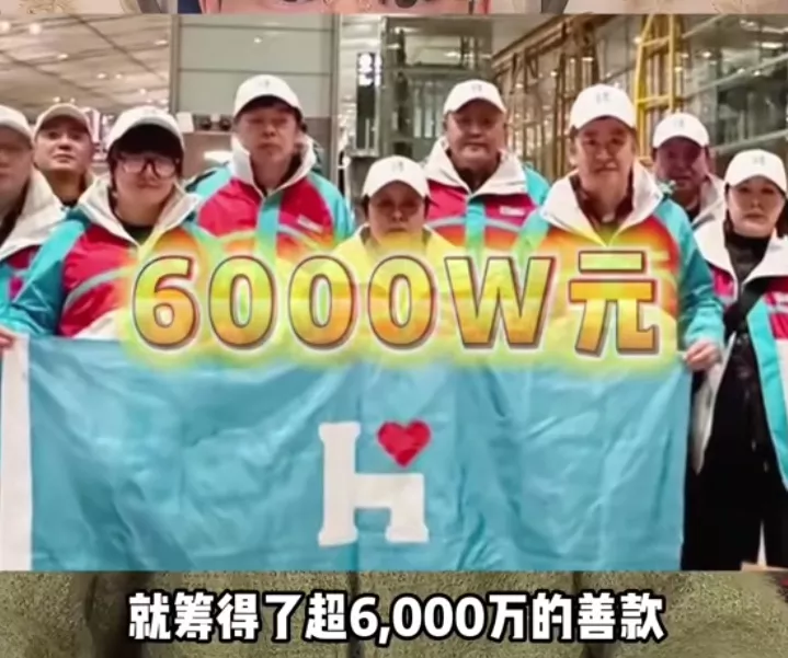 如果直接把一大笔钱捐给某十字会？他们会如何处理，就拿一笔六千万块钱来说，如果捐给