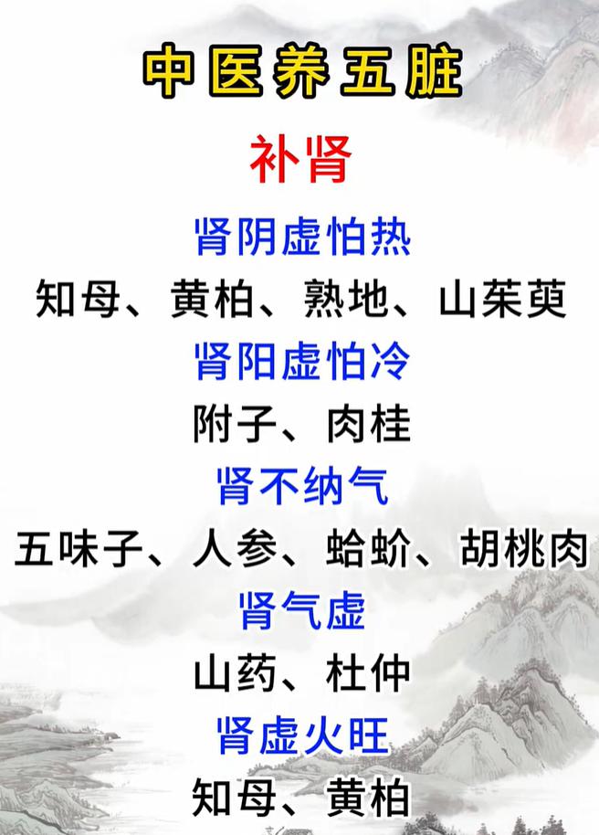 腰酸乏力肾气不足？分清肾虚类型再进补