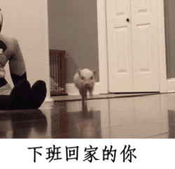 消失3个月瘦了40斤妈妈的反应妈妈的第一反应就是孩子在外面过得不好，上次回家我胖