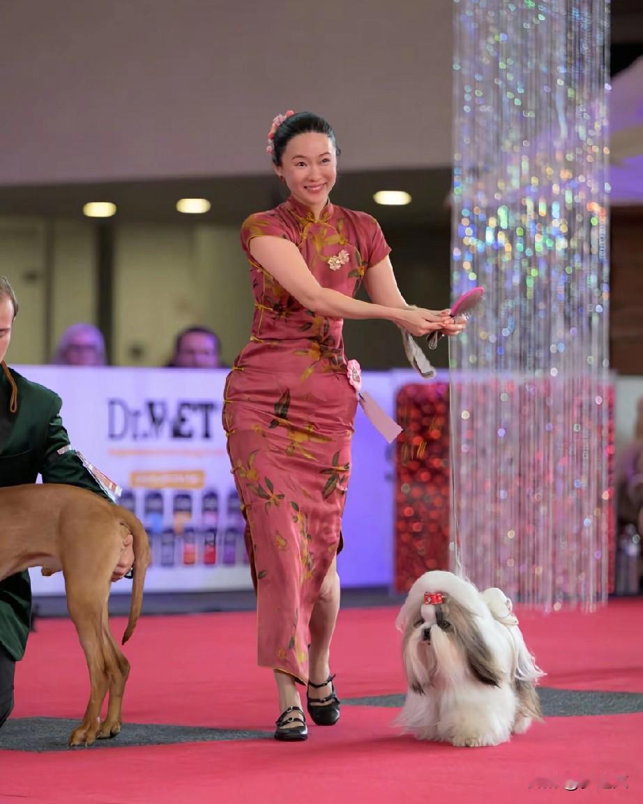 霍思燕，真是太厉害了，把小狗狗养成金凤凰了，拿了中国首个犬冠军，参加比赛霍思燕穿