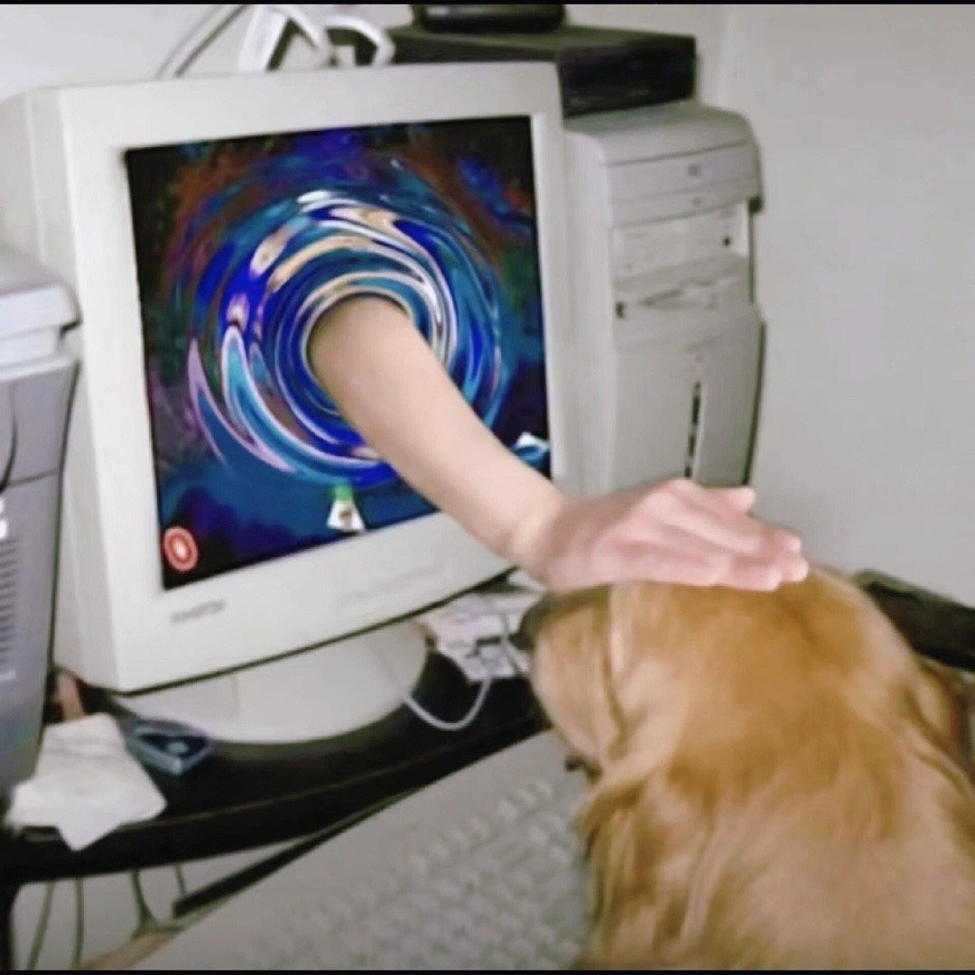 大家五月有遇到什么小可爱吗？