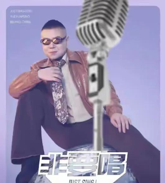 岳云鹏演唱会岳云鹏的演唱会，看到的尽是一片骂声，诸如水平低、靠炒作、不专业之类