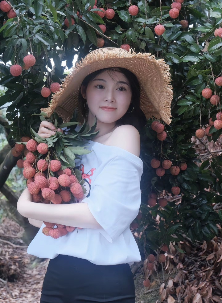 粤西荔枝菇凉