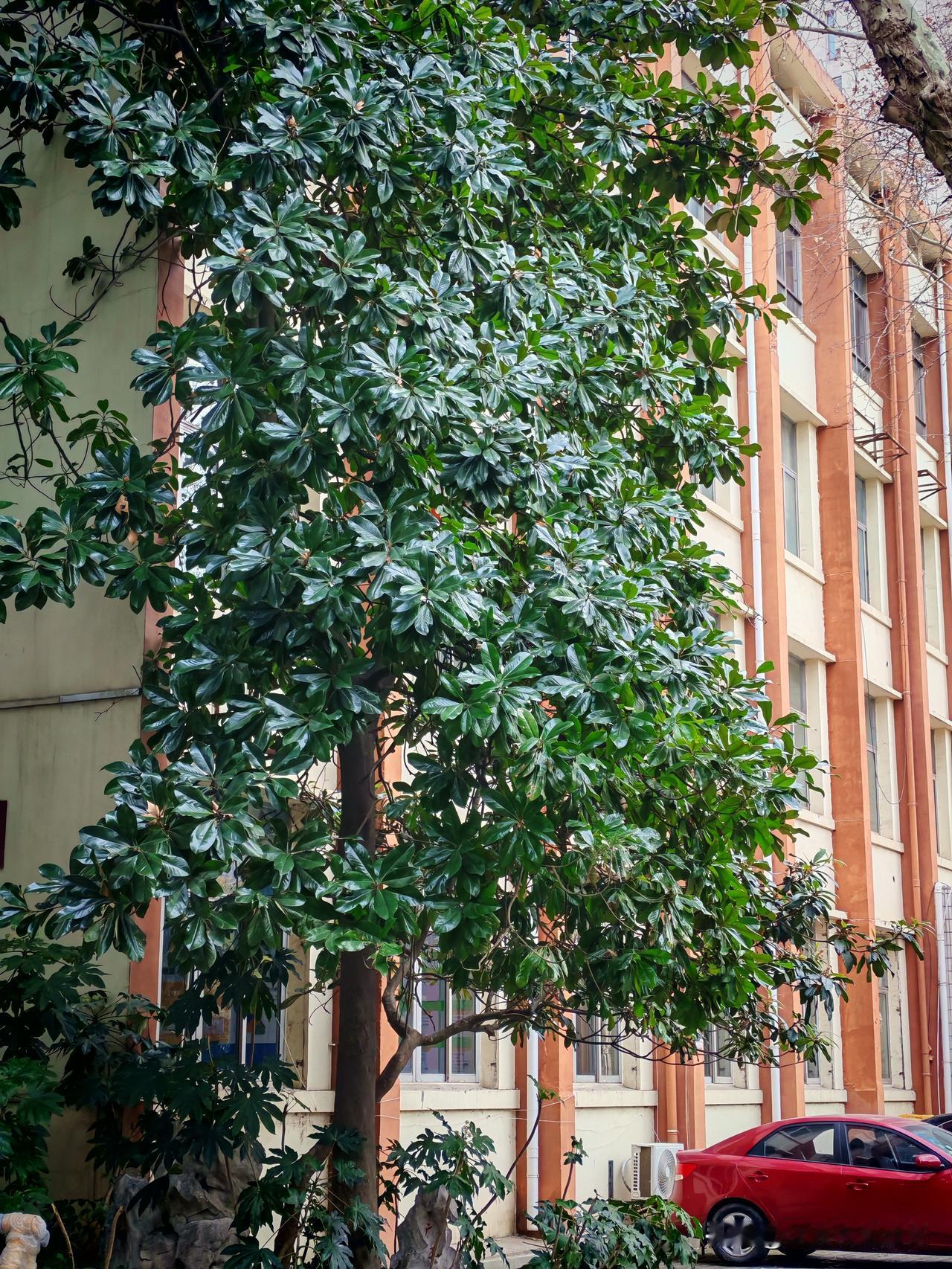 人老了才懂：女人最大的强大，不是有钱，而是这一点杨绛先生说过：“我们曾如