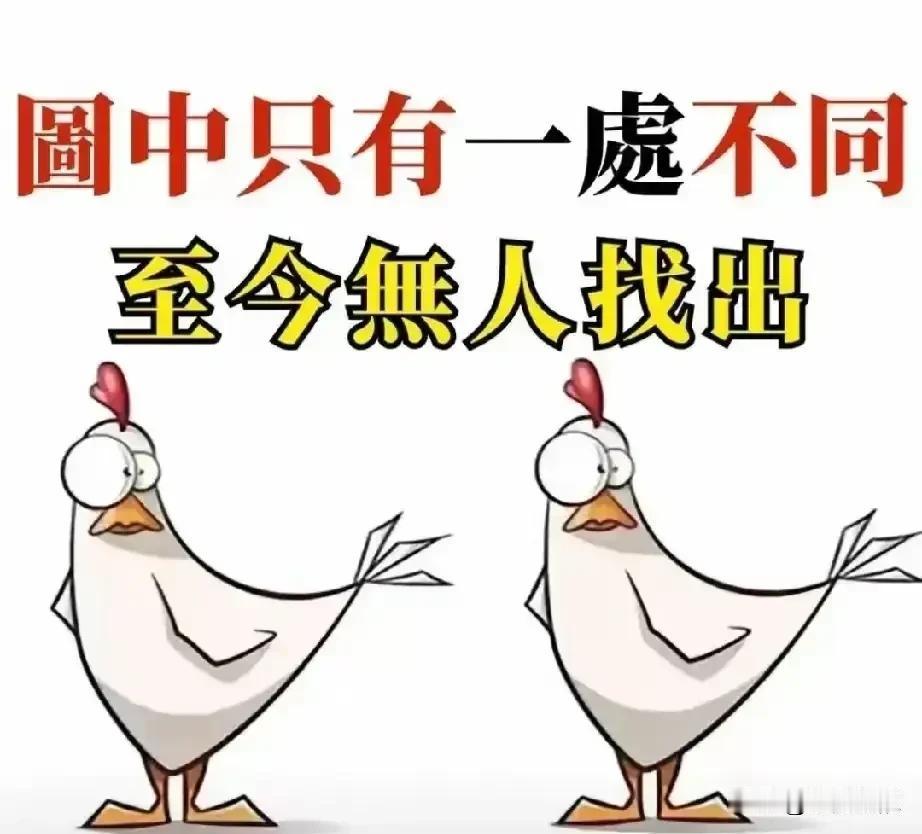 图中的两只鸡只有一处不同。我问了好多人都没找出哪里有不同的点。看看有没有火眼金睛