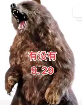 今天老杨与瞿姐非常给力，纷纷发作品支持许姚！老杨与瞿姐和许敏都是姐弟关系，感情