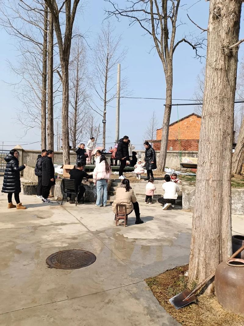 年味正在慢慢回来了。今天走亲戚，大家围在一个桌子上，混得好的、混得一般的、混得差