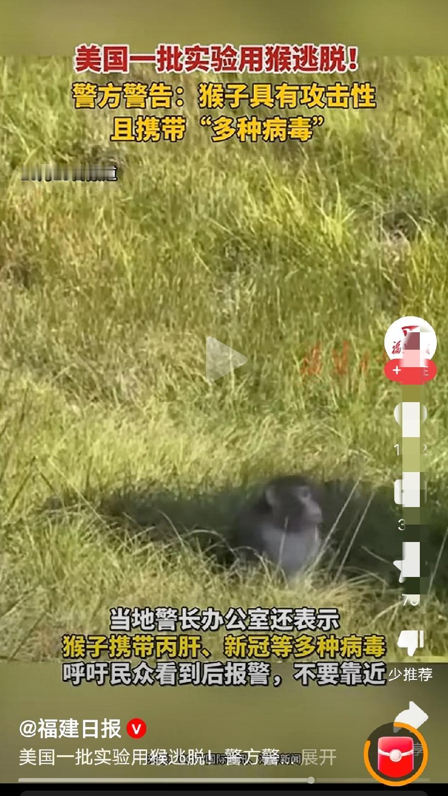 同样的剧本！美国一放实验猴子，就代表一个新型病毒将要传开！猴子