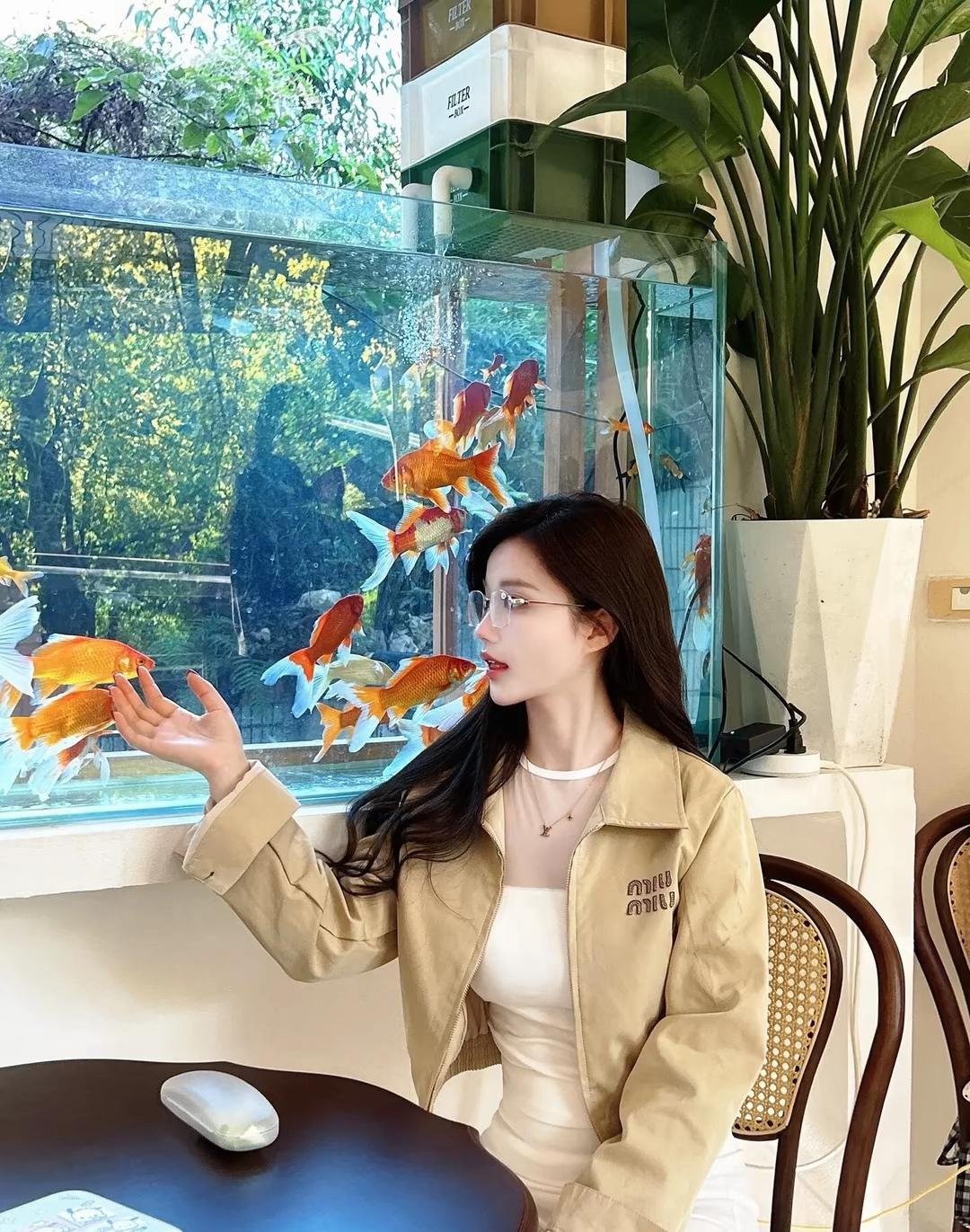 在咖啡馆里，与锦鲤亲密接触的美好时光