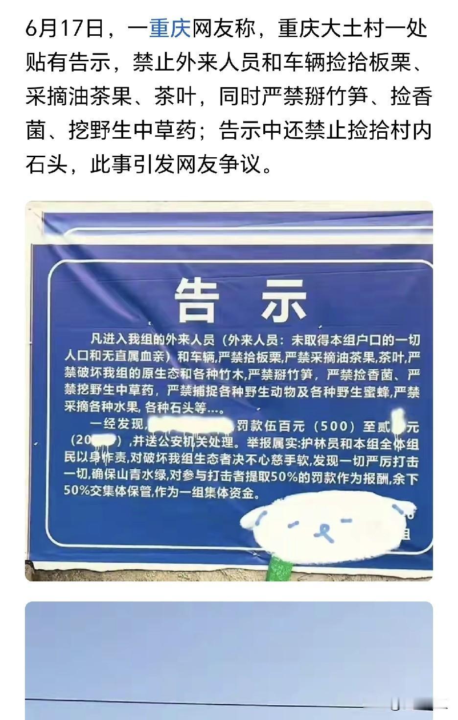 维护村民的利益刻不容缓。重庆这个山村做的对，农村的河流，湖泊，山林，草木，石头等