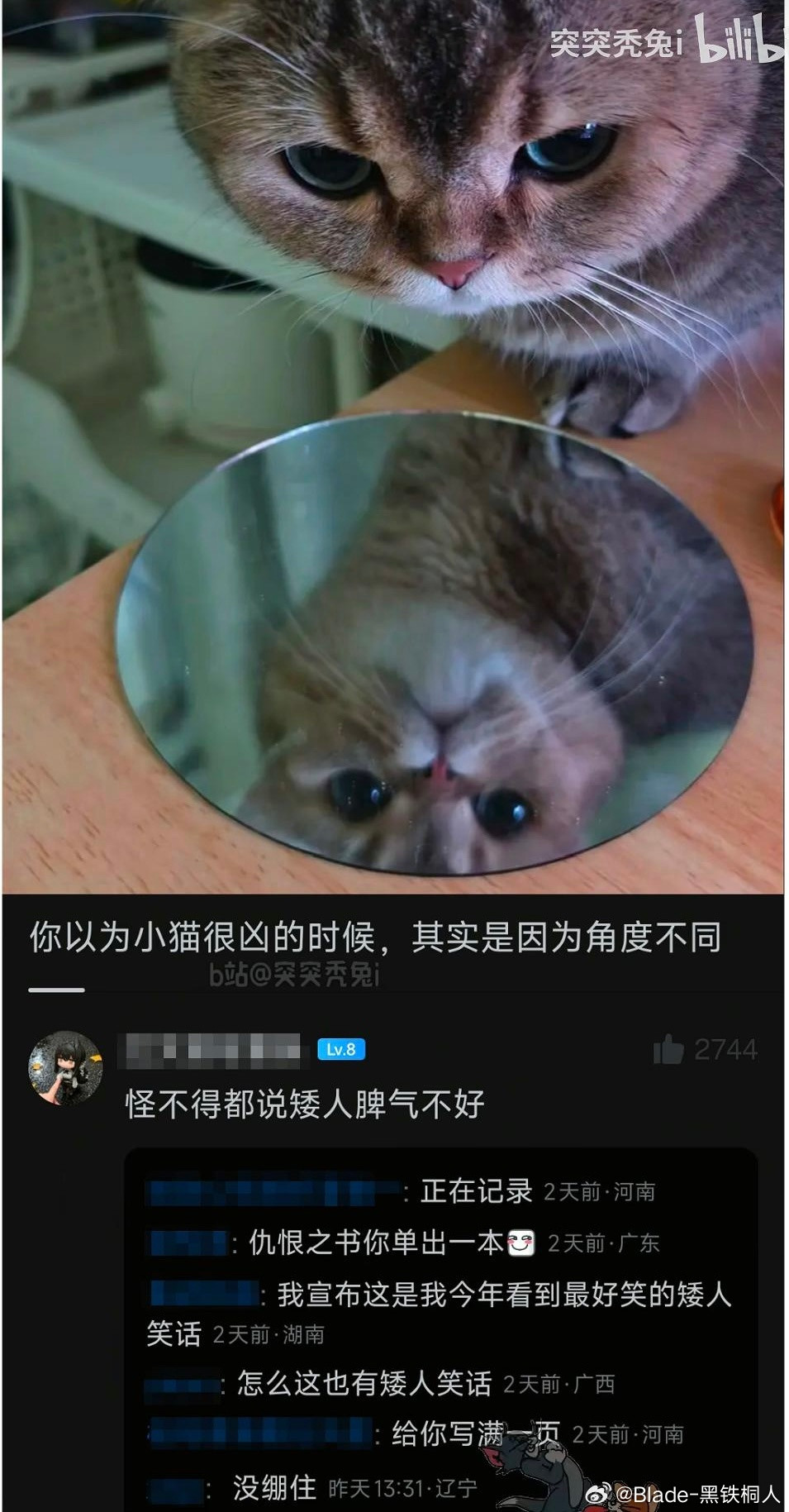 矮人笑话