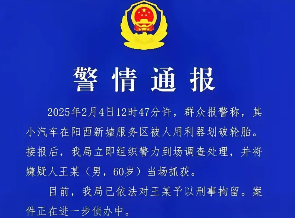 阳西新墟服务区割胎人已被刑事拘留，说明本案已涉嫌刑事犯罪。最可能的罪名是故意毁坏