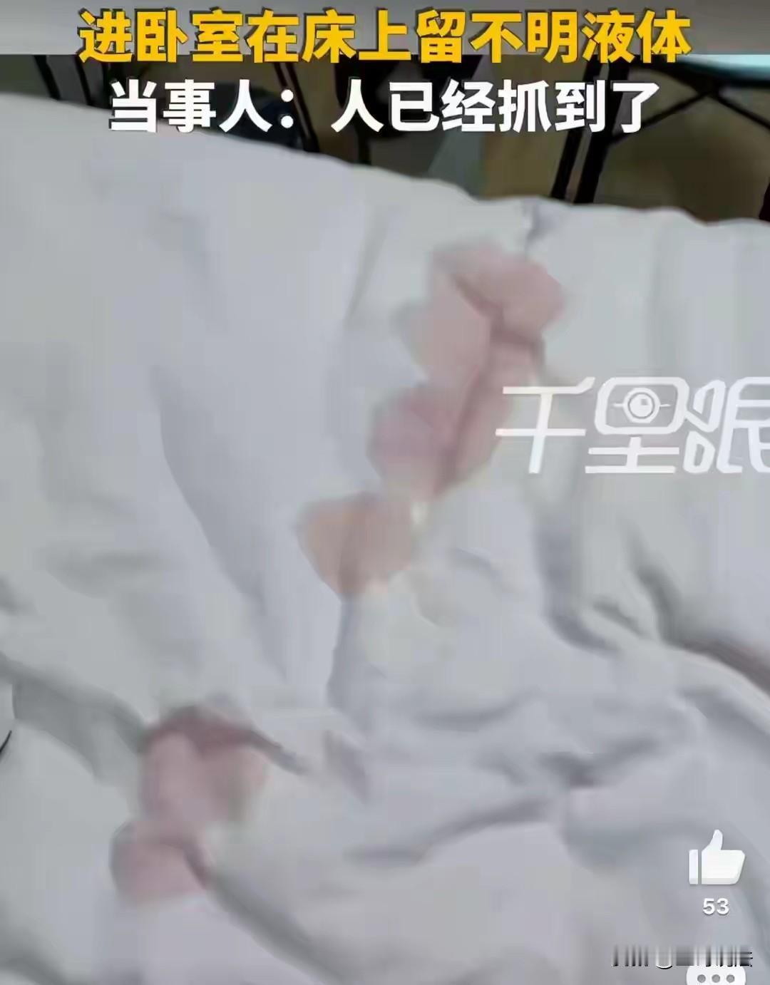 “真是奇葩！”杭州，一女子正在熟睡，突然感觉湿乎乎的，她开灯一看，身子下面有一滩