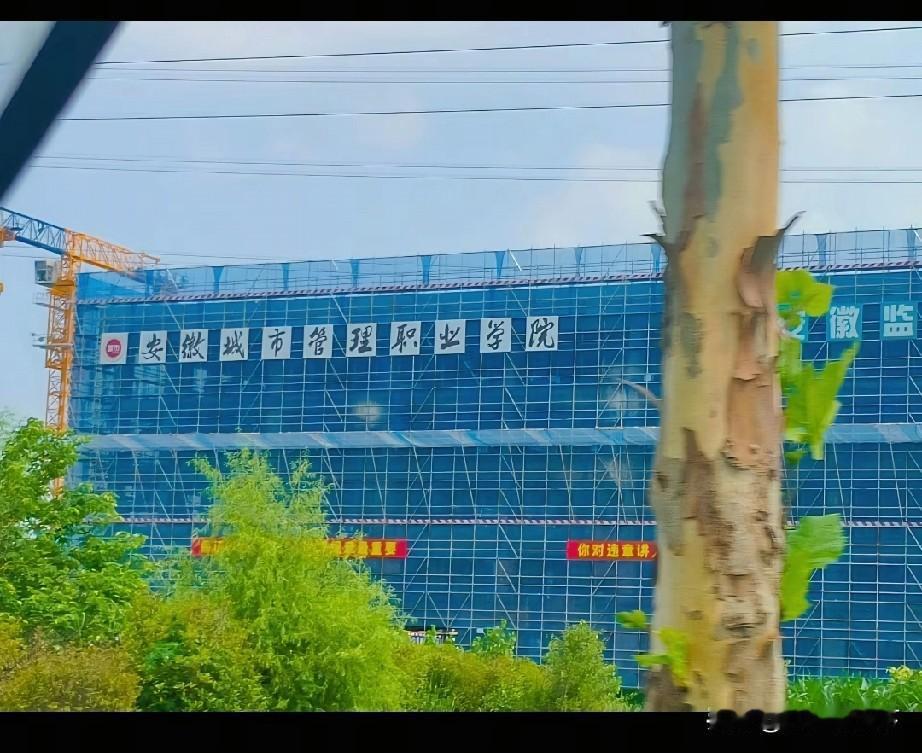 寿县新桥大学城第7所高校开始采购大门了，建设进度很快新桥大学城位于安徽省淮南市