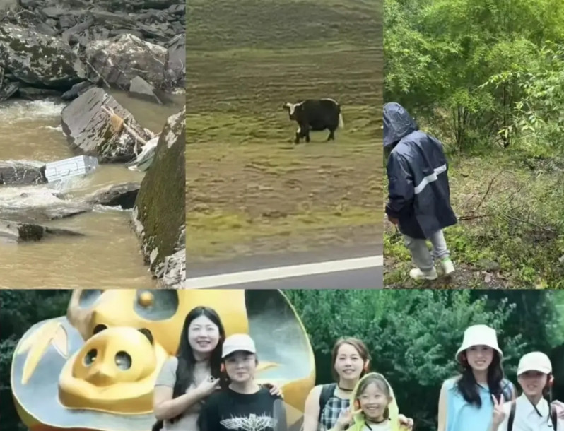 川西3对母女自驾游遇险，悲剧本可避免的。第一：3对母女决定自驾游川西，这本是