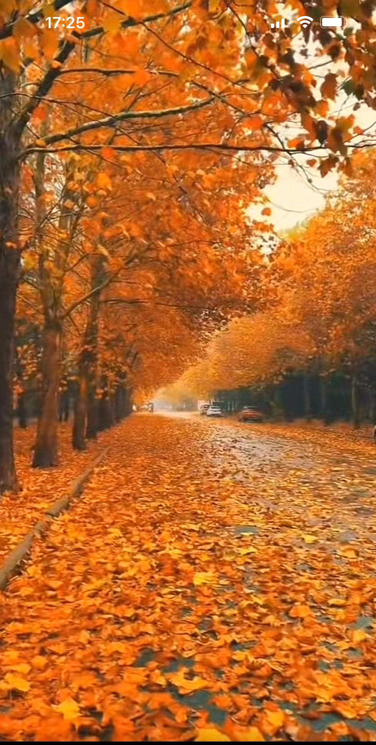 “时间暴露了谎言，看透了人心。人与人之间，不要拿你的聪明去利用别人的善良。