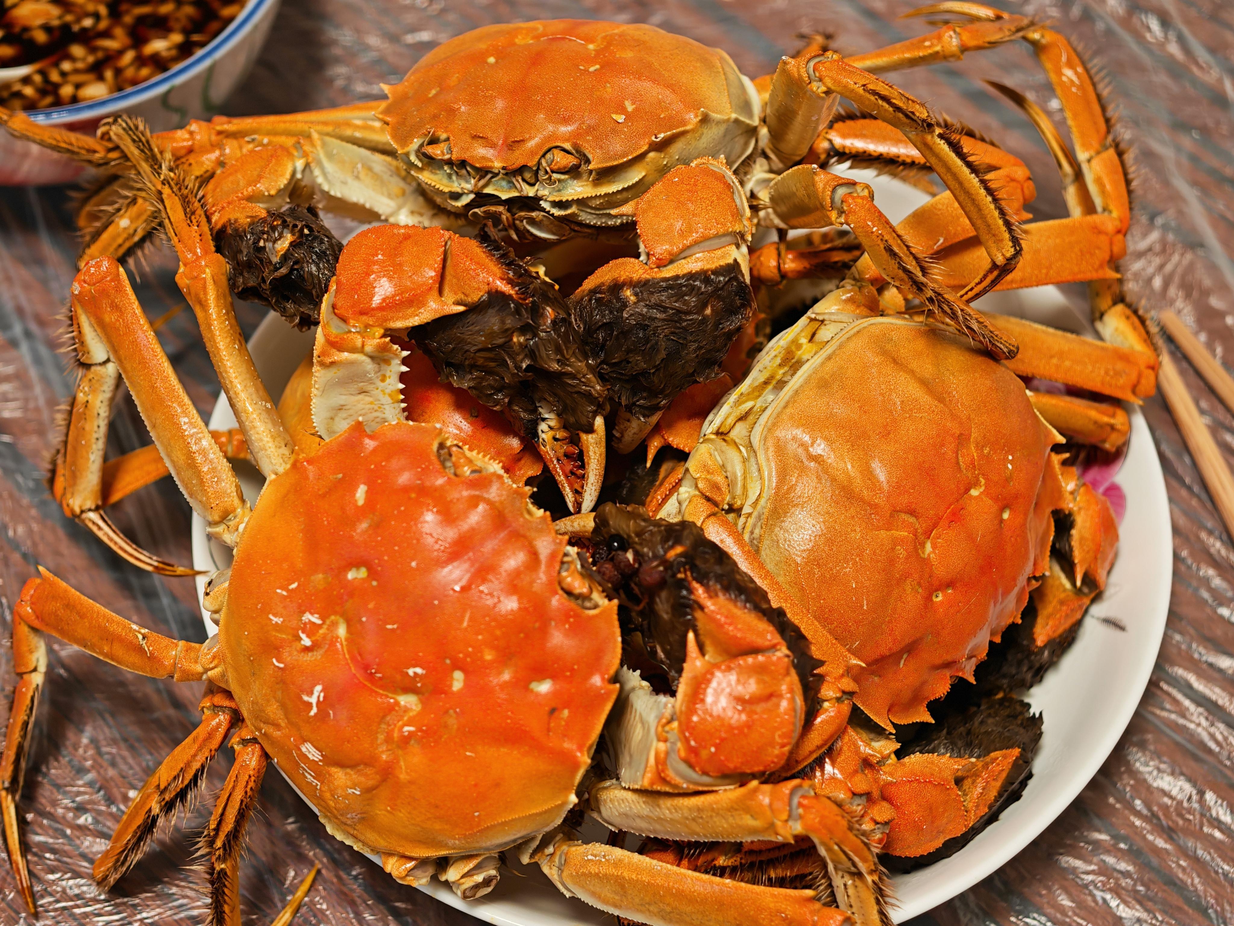 又到了吃螃蟹的季节了，又大又肥，半斤一个，满膏满黄。大家晚饭都吃了没​