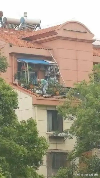 老人对种菜的执念，不得不佩服。