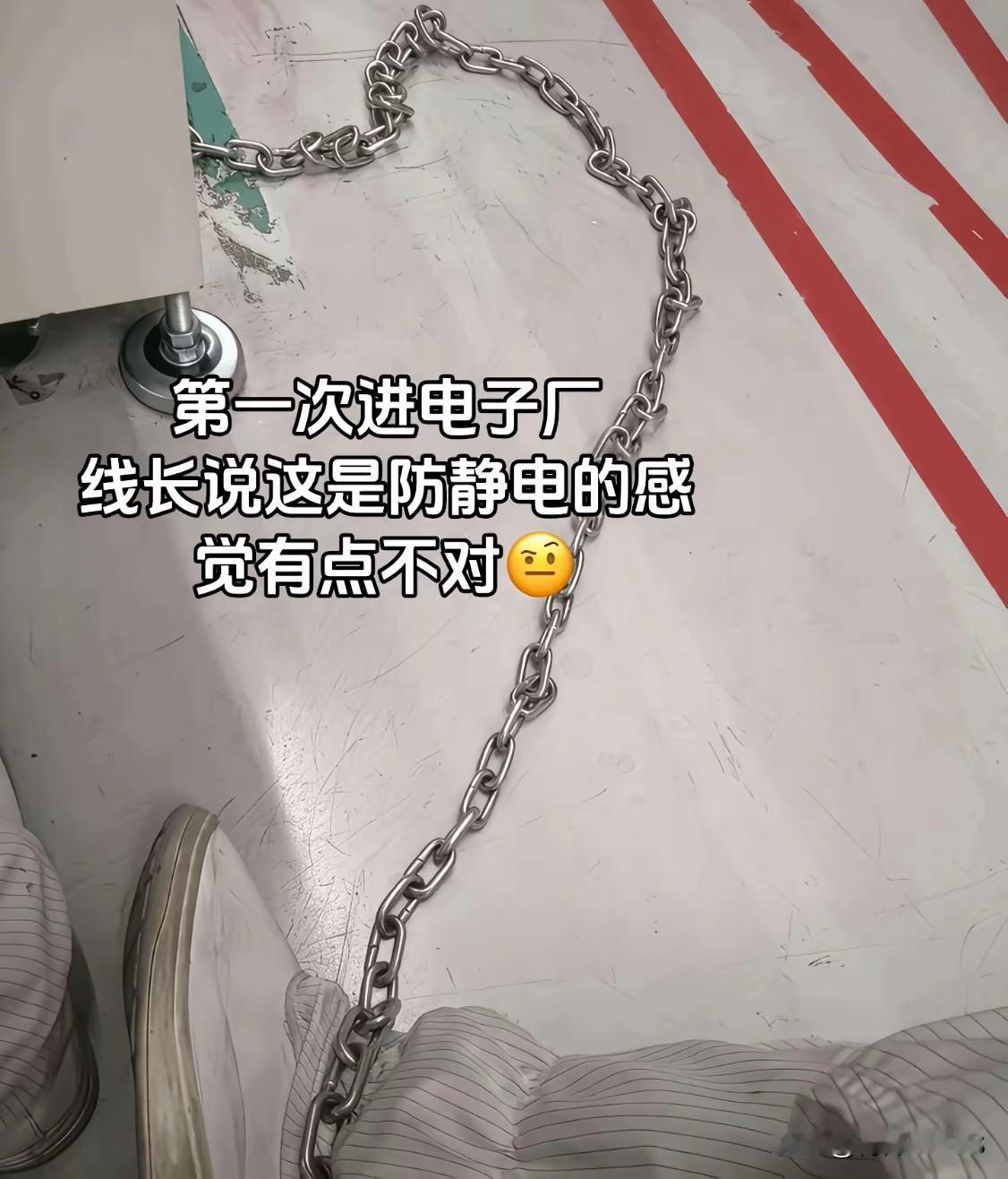 进错厂了吧[doge]