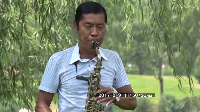 萨克斯独奏一帘幽梦