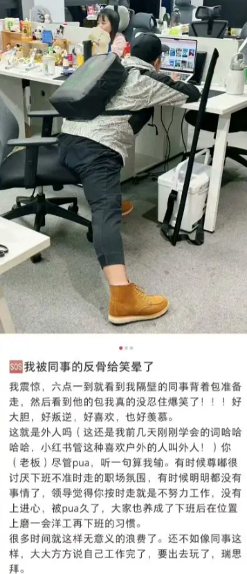 被同事的反骨给笑晕过去了