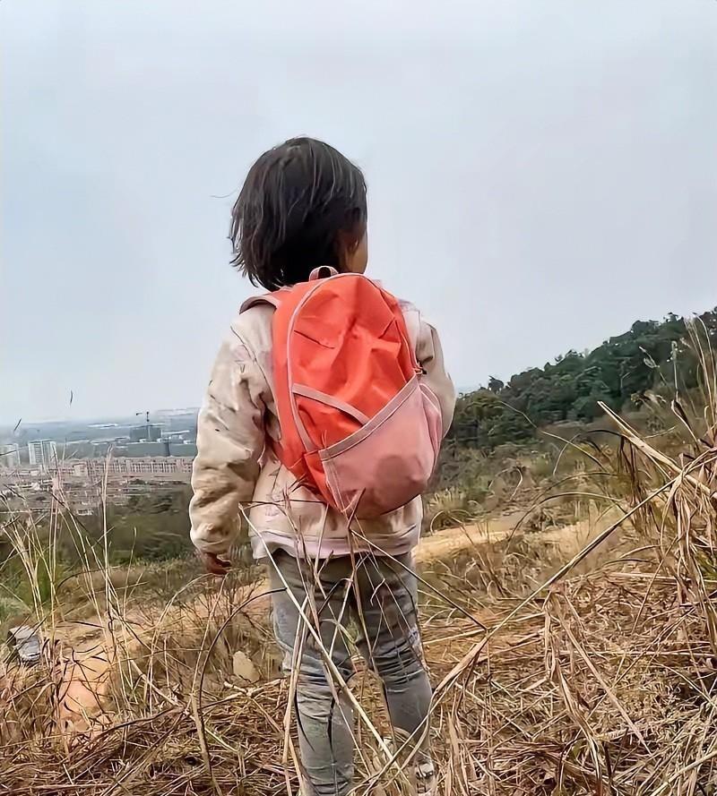 谁能想到，在贵州安顺的大山深处，一个7岁女童每天上下学的“全职保镖”，竟然是一条