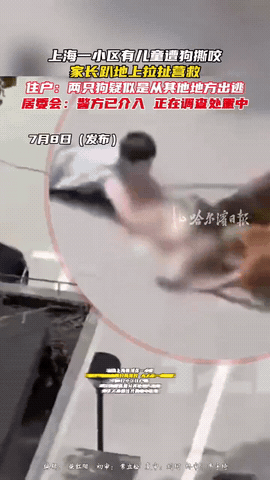 “必须严惩！”上海，奶奶带着孩子在小区里散步，突然有一黄一黑两条大狗冲了出来，朝