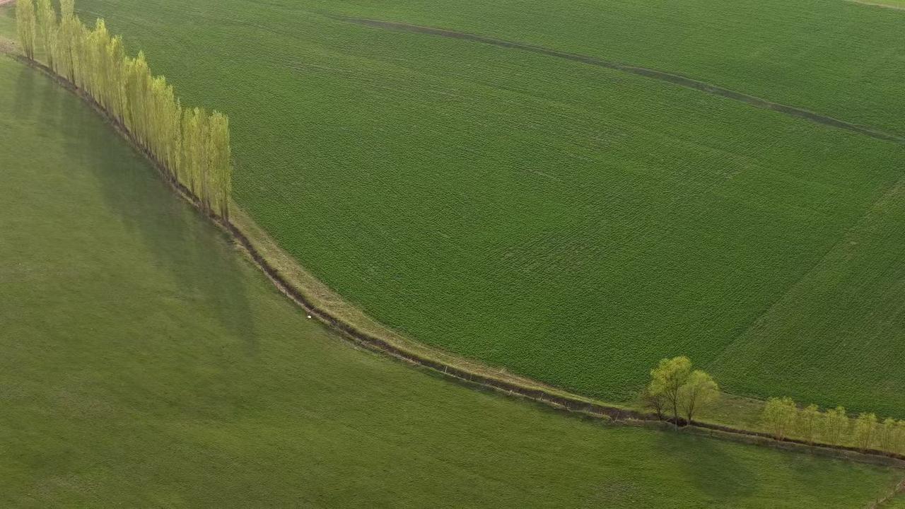 十大常识1、女人腰细，最好远离2、嘴唇厚的人，一般可靠老实。3、体毛旺盛者