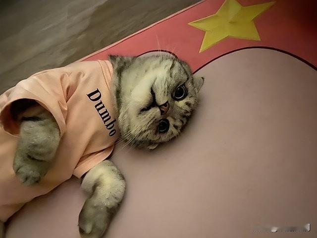 七八年前，出国留学那会儿真热，谁家里有点条件都琢磨着送孩子出国，朋友圈子里聊这事