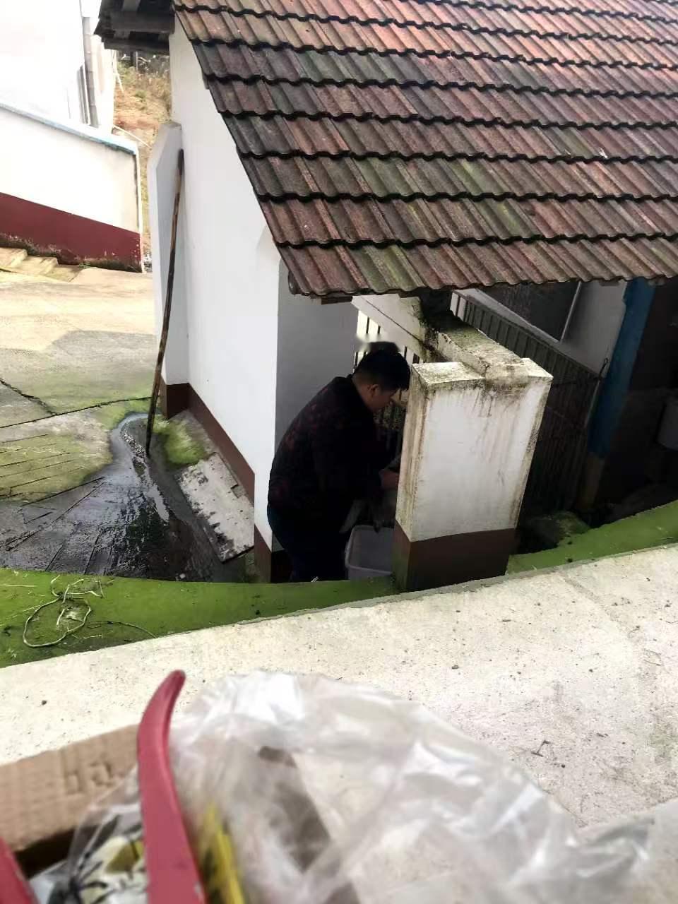羊群越养越多，成活率反而下滑？很多养殖户起步只养十几只黑山羊，几乎很少出现伤亡，