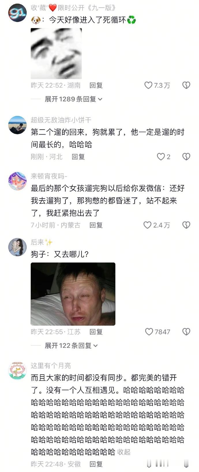人不语，只是一味地遛狗​​​​