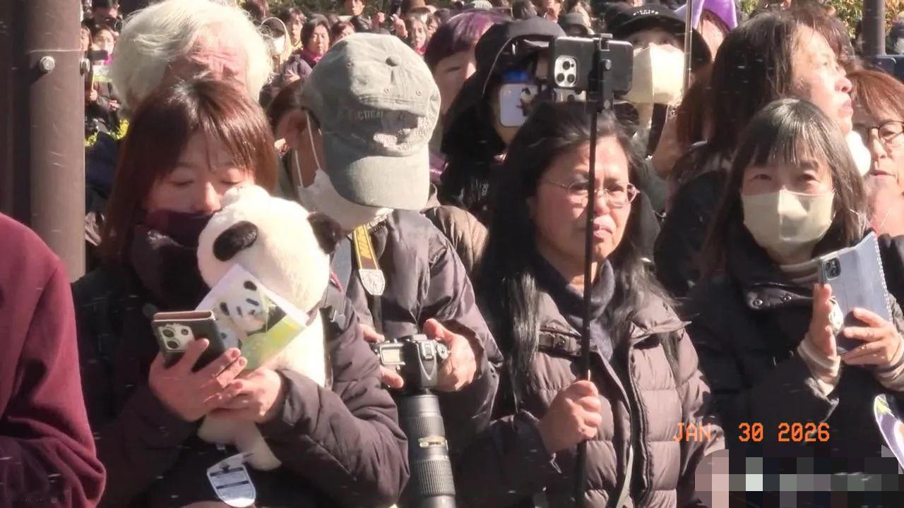 1月29日，大熊猫才离开两天，日本媒体就开始“发牢骚”了，读卖新闻甚至直接发文：